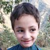 nemat23234
