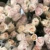 pinkysdumpp_