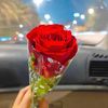 .yuotup