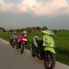 tofimedan1