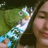 1065233vane