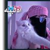 user1194123315093