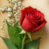 user7600352058361