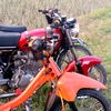 arnel_anak_baik