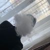 riki_hvan_