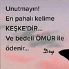 qemli_qemli_0