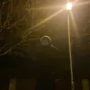 domisek_1