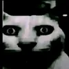 qwey.mp4