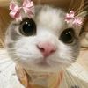 eyen679