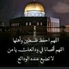 user25840925219998
