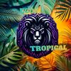 ecomtropical