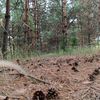markovih_30.05.24