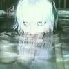 animsproject
