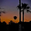 hattie_5797