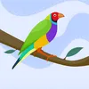 duy.nguyen1179