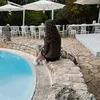 anna.2386