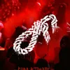 rilewar.qaz