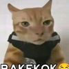 azkakediri756