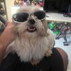pedroelmaskpo
