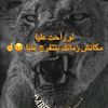 user2092343480310