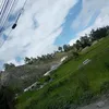 a_suarez234