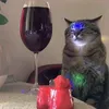 karmaiscatt13