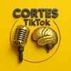 cortespravcver
