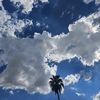 follow4follow3358