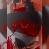 velvet_vibes210