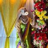 fariya_jannat53