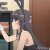 sbina532