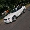 brand_stang05