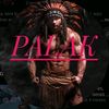 palak6467