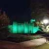 davidcadi10