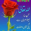 zishan.ali13