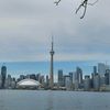 torontooguyy
