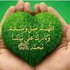dalia.mahmoud781
