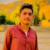 shakil.ahmad958