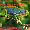 segbo.lissa7