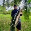 bayu.werrr
