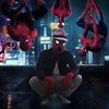 spiderchol0