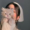 elif51226
