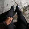 ridwan49556