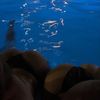 _user2127