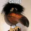 skebobskebovic