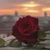 farahfarah2693