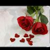 user81405824666276