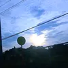 zi_sie2