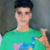 user4423683611096