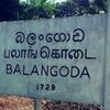 user4244881756273sridvei